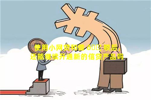 使用小网贷和借 🐦 呗后，还能继续开通新的信贷产品吗